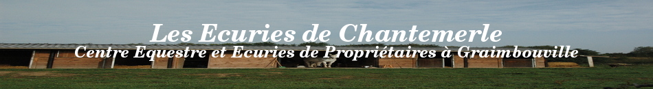Les Ecuries de Chantemerle